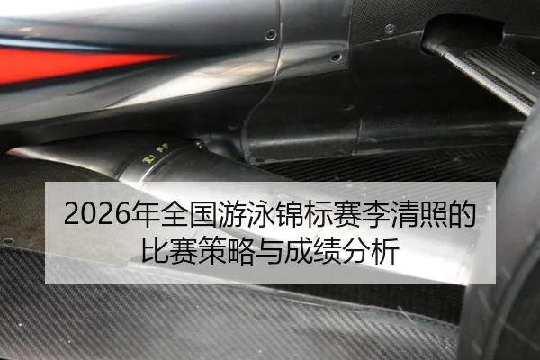 nian-quan-guo-you-yong-jin-biao-sai-li-qing-zhao-de-bi-sai-ce-lve-yu-cheng-ji-fen-xi-2-222.jpg