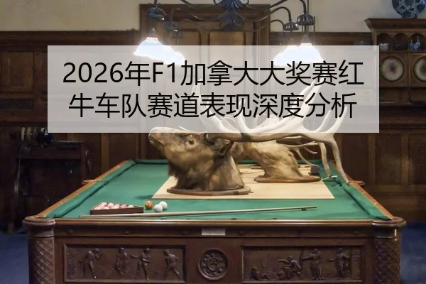 nian-jia-na-da-da-jiang-sai-hong-niu-che-dui-sai-dao-biao-xian-shen-du-fen-xi-2-653.jpg